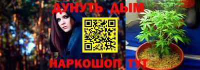 дживик Жуковский