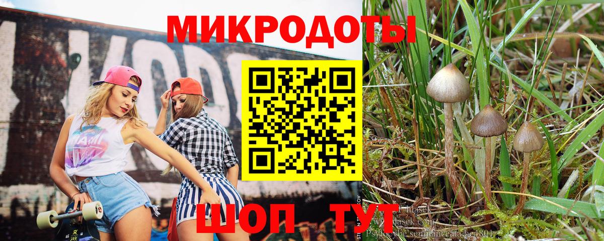 Менделеевск  Псилоцибиновые грибы MAGIC MUSHROOMS  Вход с VPN  где купить наркотик  Псилоцибиновые грибы мухоморы 