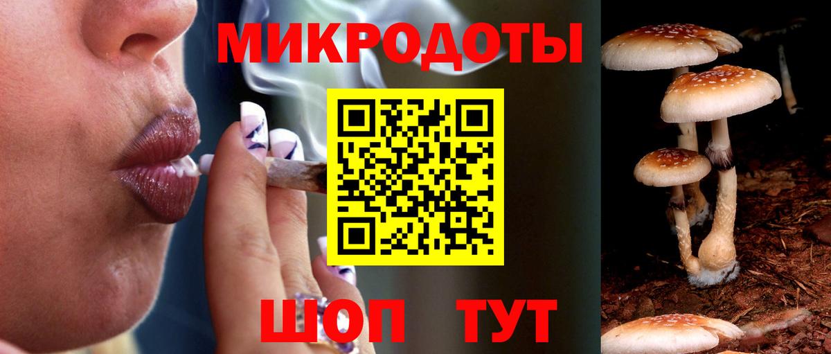Псилоцибиновые грибы Psilocybe Менделеевск
